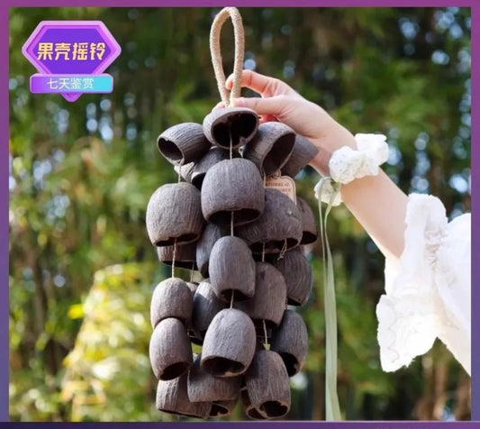Fruit shell wind chimes（Salin 水伶桐)