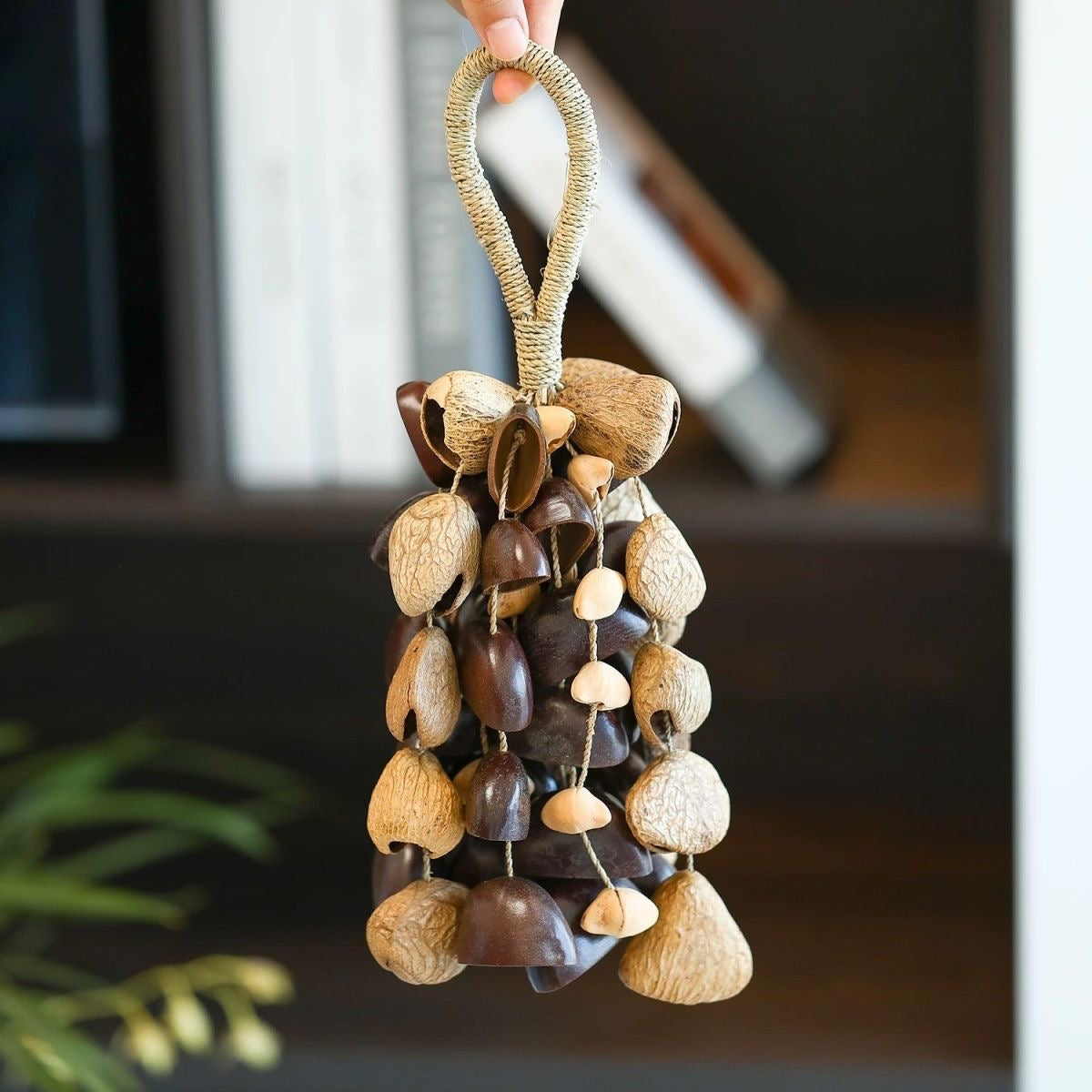 Nutshell wind chimes(Panji印尼黑果)